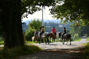 L’équitation dans le Gers : immersion au cœur des centres équestres d’exception